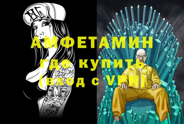 индика Осинники