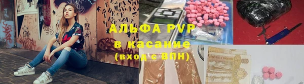 индика Кинешма