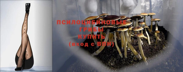 mix Корсаков
