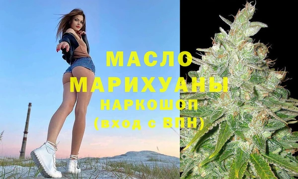 индика Кинешма