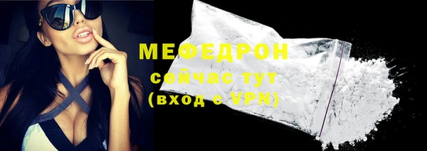 индика Кинешма