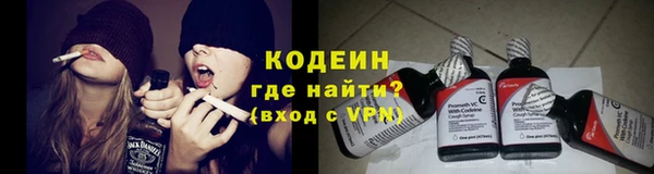 индика Кинешма