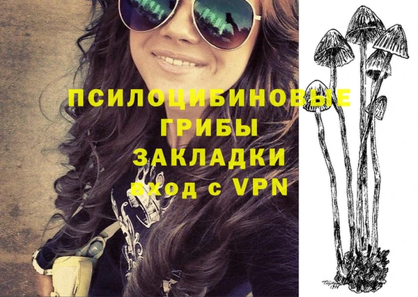 индика Кинешма