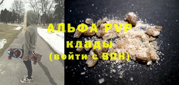 индика Кинешма