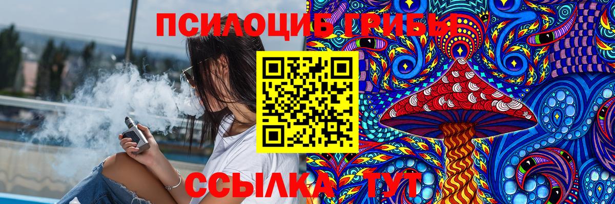 Галлюциногенные грибы Cubensis  Вход с VPN  Курчатов 